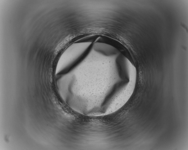 X0000100390682200806271358