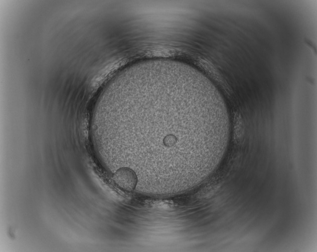 X0000100390683200806271358