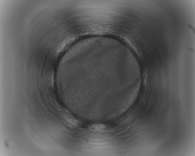 X0000100390685200806271358