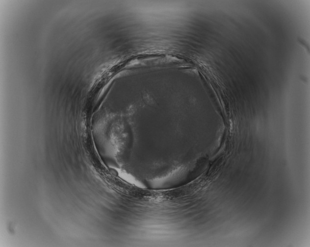 X0000100390688200806271357