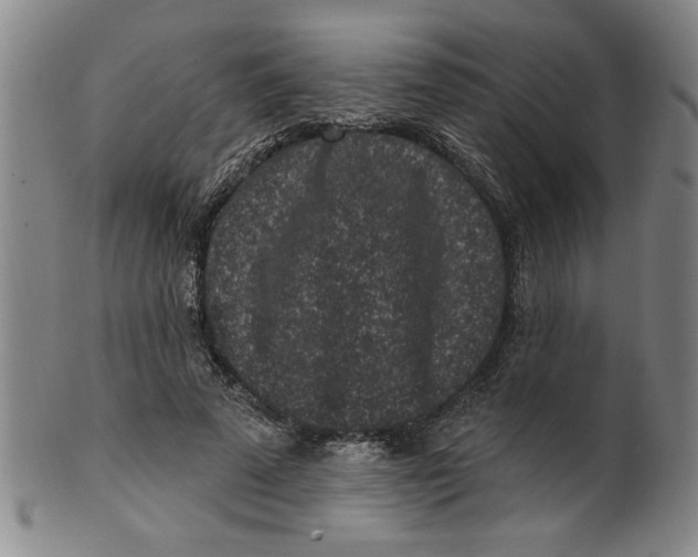 X0000100390689200806271357