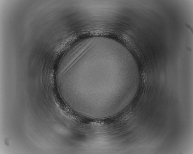 X0000100390690200806271357