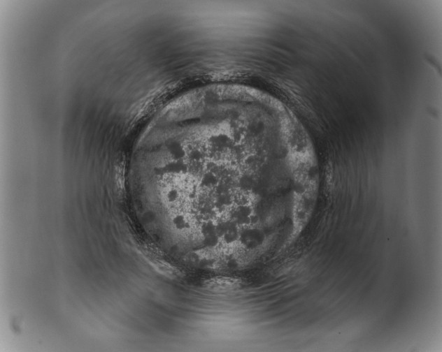 X0000100390691200806271357