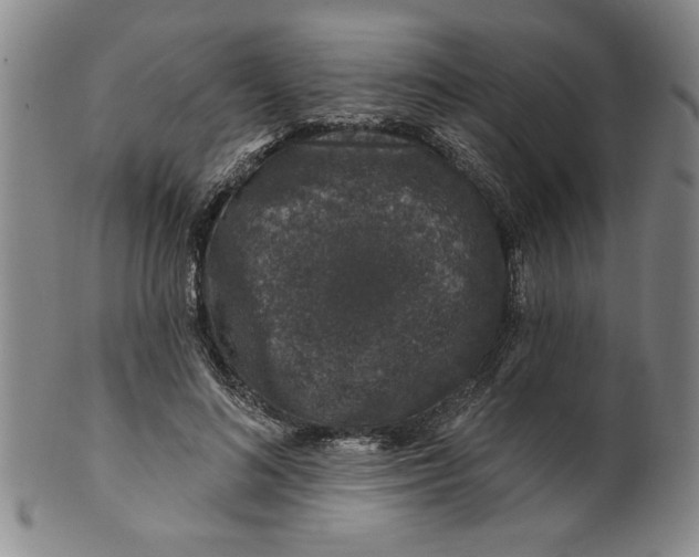 X0000100390692200806271357