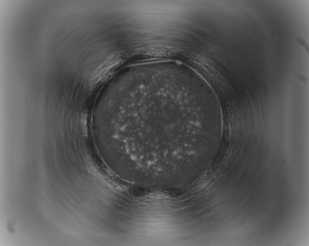 X0000100390696200806271357