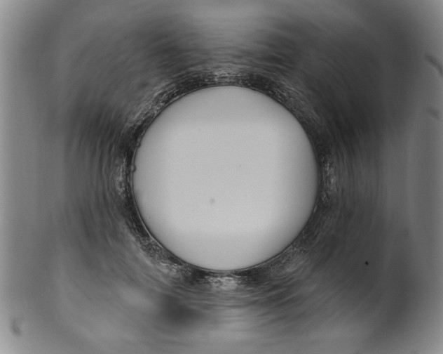 X0000100390698200806271357