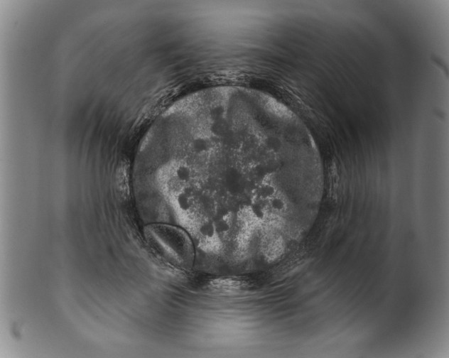 X0000100390699200806271357