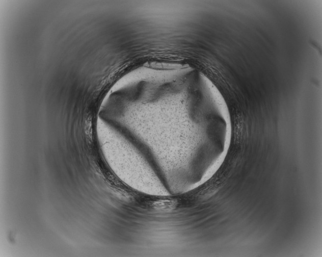 X0000100390700200806271357