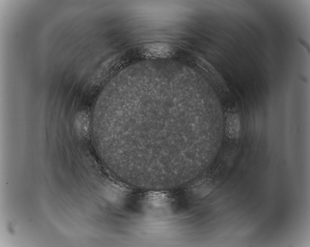 X0000100390701200806271357