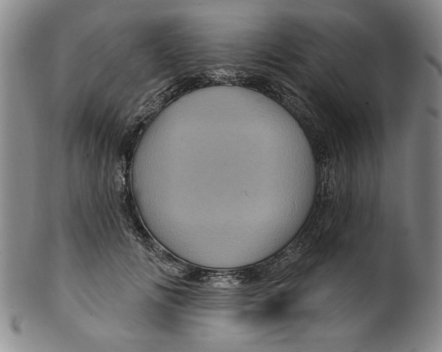 X0000100390702200806271357