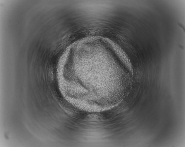 X0000100390703200806271357