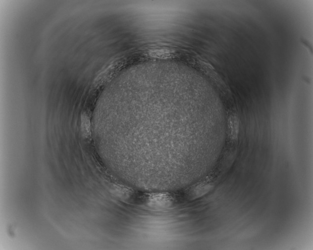 X0000100390705200806271357