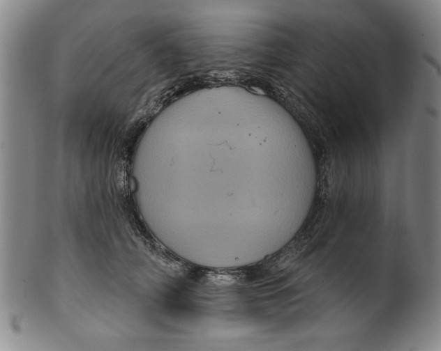 X0000100390706200806271357