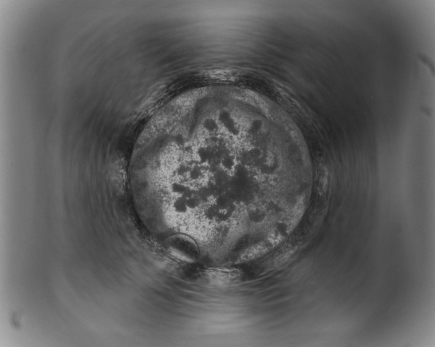 X0000100390707200806271357