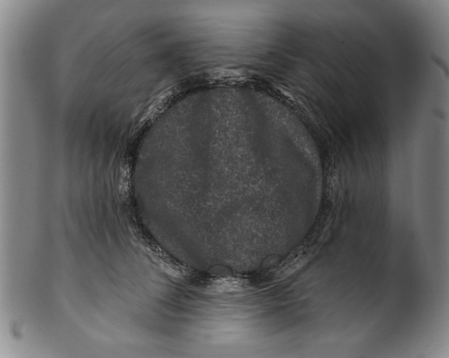 X0000100390708200806271357