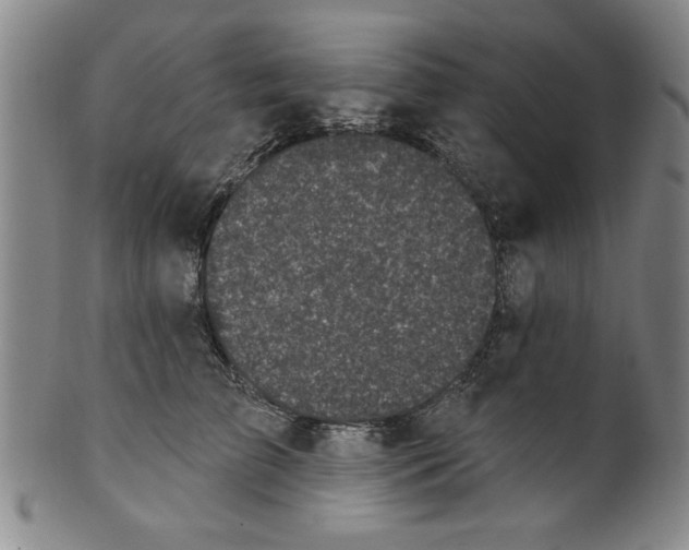 X0000100390709200806271357