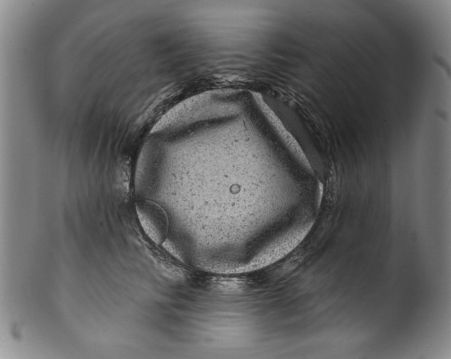 X0000100390710200806271357