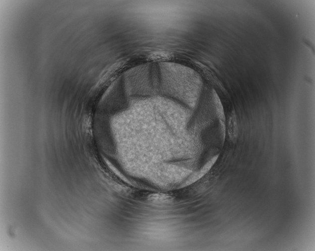 X0000100390714200806271357