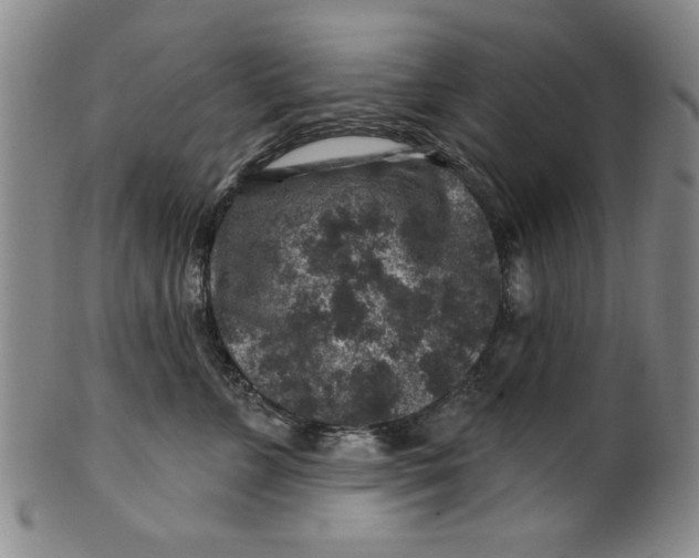 X0000100390715200806271357