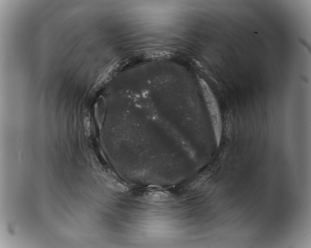 X0000100390716200806271357