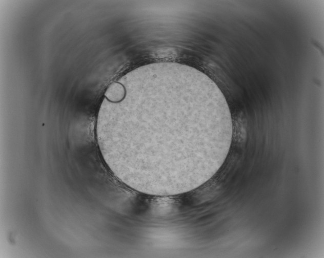 X0000100390717200806271357