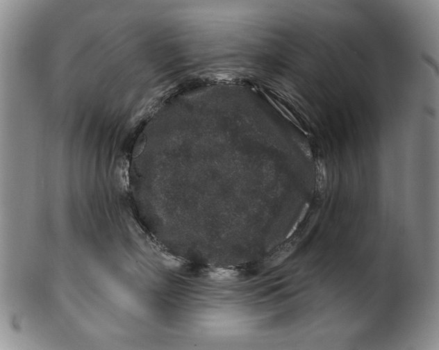 X0000100390718200806271357