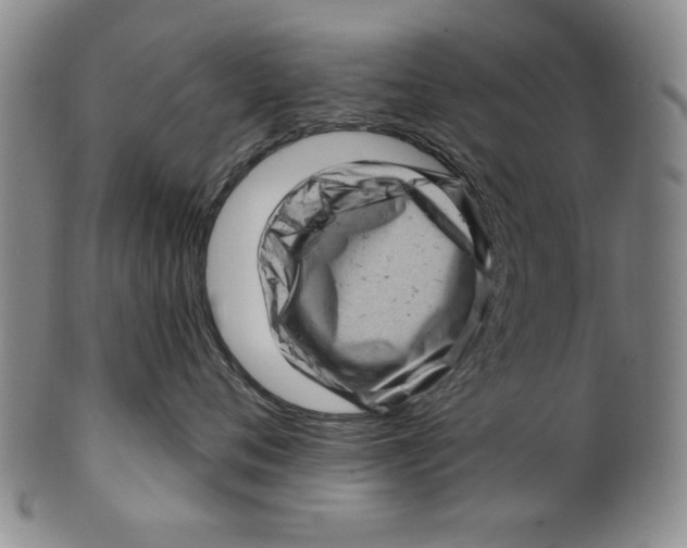 X0000100390720200806271357