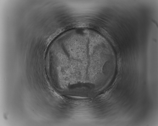 X0000100390721200806271356