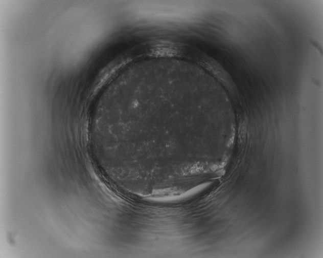 X0000100390722200806271356