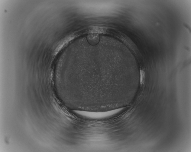 X0000100390723200806271356