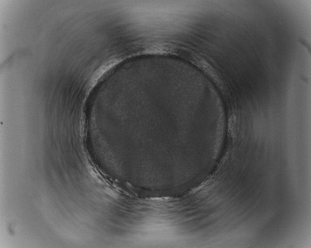 X0000100390724200806271356