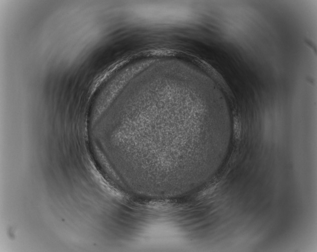 X0000100390725200806271356