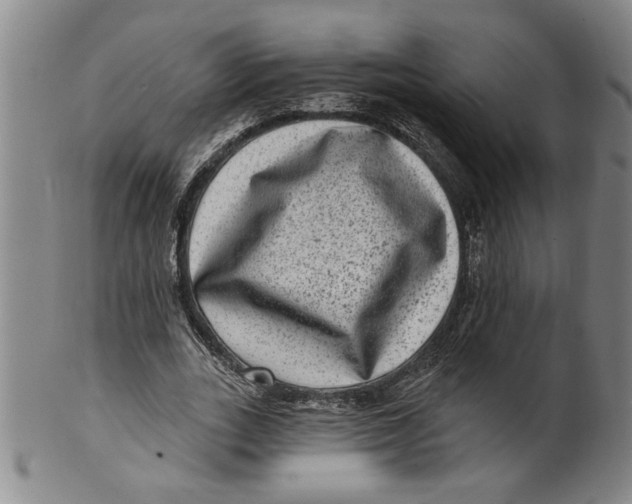 X0000100390727200806271356