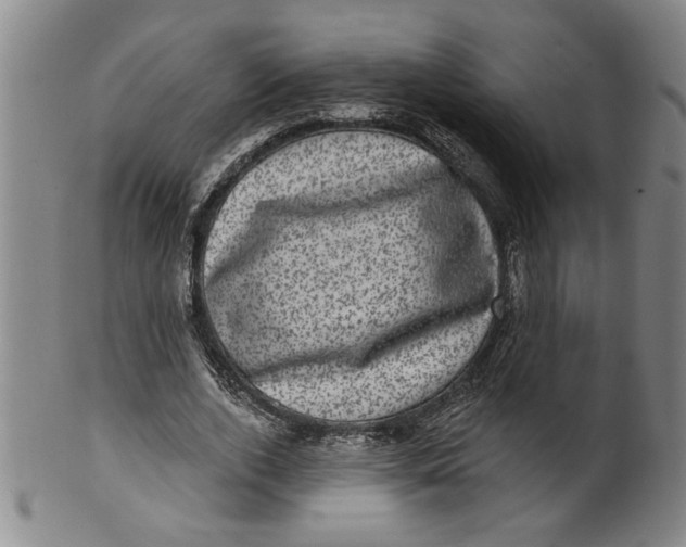 X0000100390728200806271356