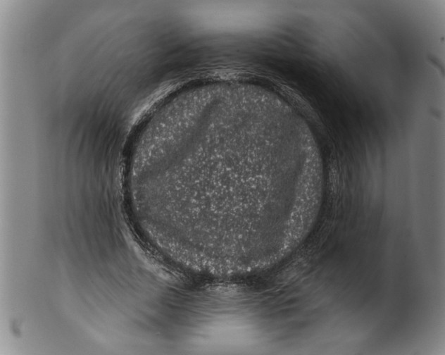 X0000100390730200806271356