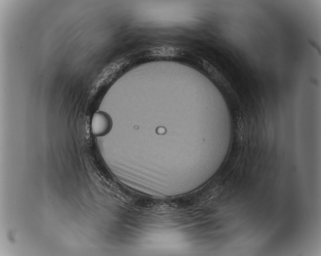 X0000100390731200806271356