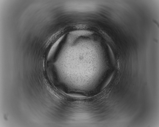 X0000100390733200806271357