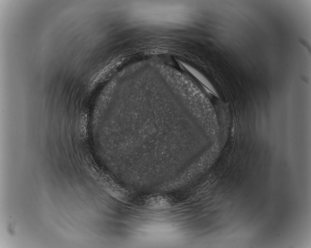 X0000100390735200806271357