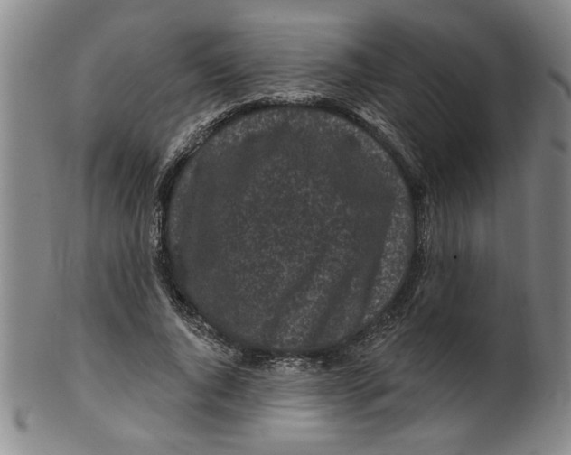 X0000100390736200806271357