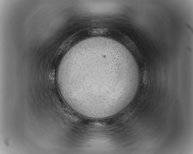 X0000100390737200806271357