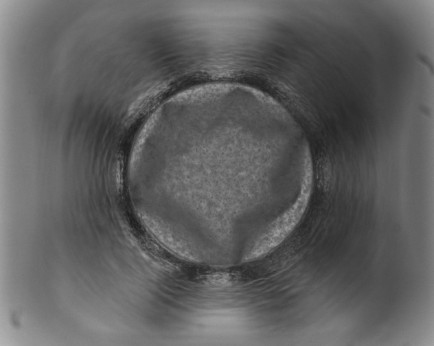 X0000100390740200806271357