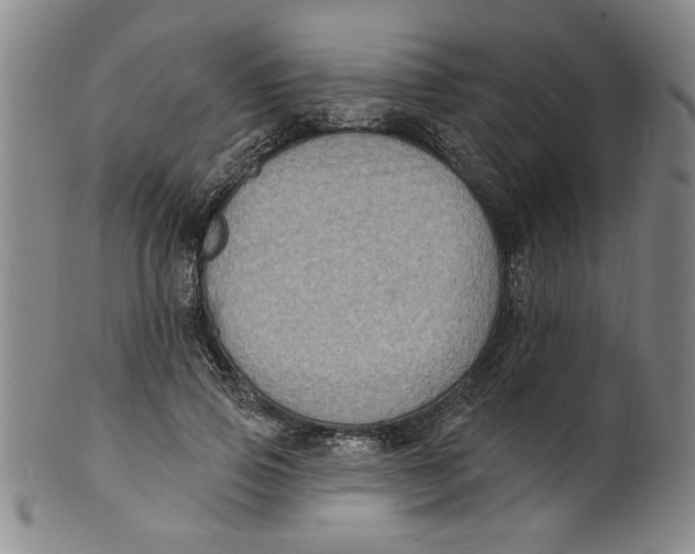 X0000100390741200806271357