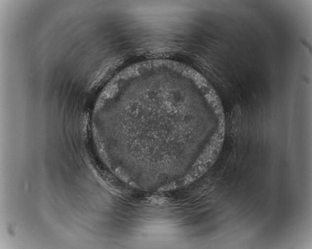 X0000100390742200806271357