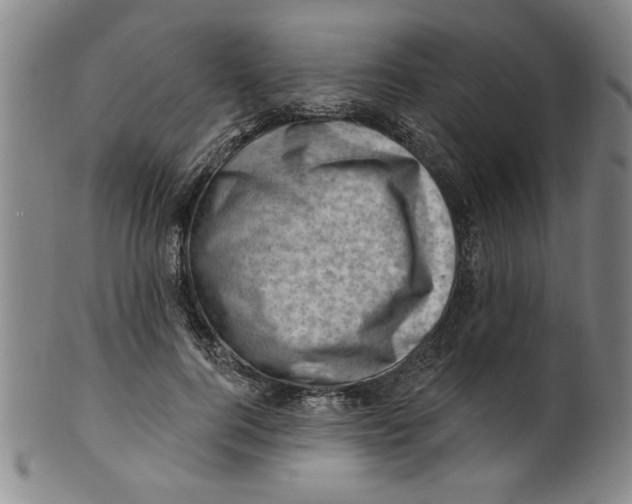 X0000100390744200806271357