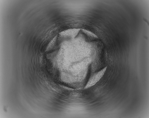 X0000100390745200806271357