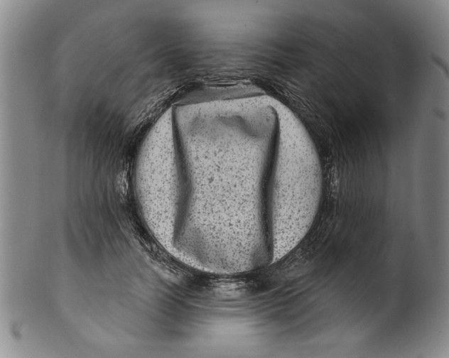 X0000100390746200806271357