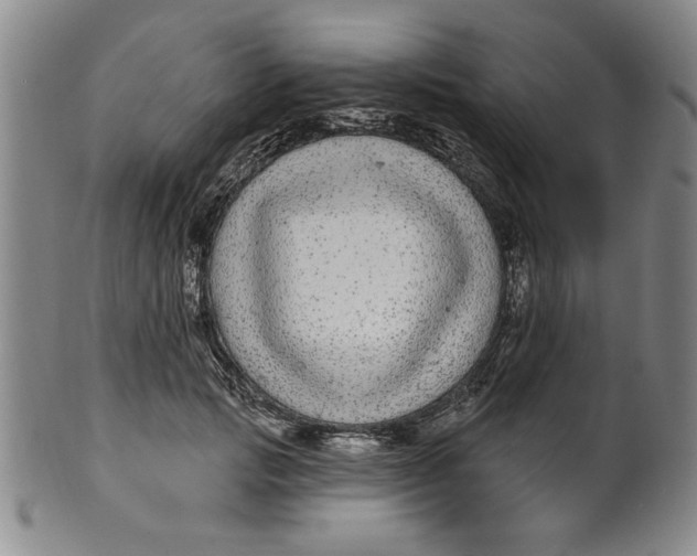 X0000100390749200806271357