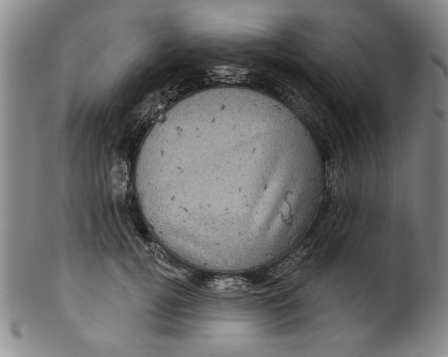 X0000100390752200806271357