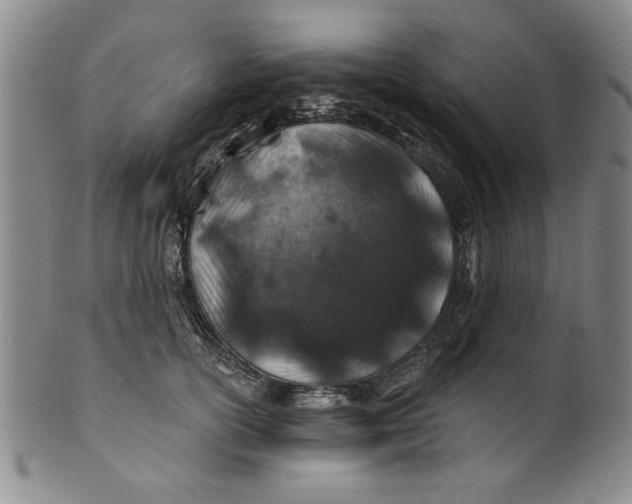 X0000100390754200806271357