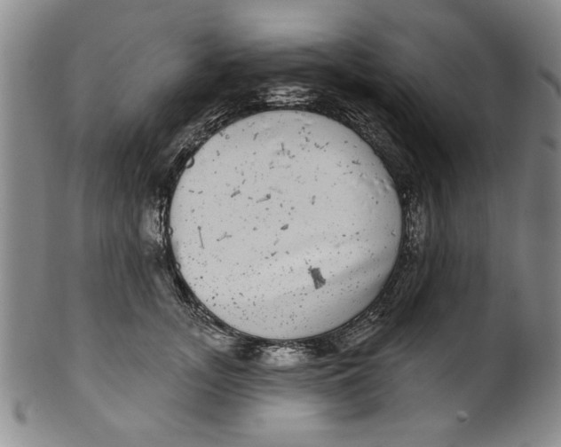 X0000100390755200806271357